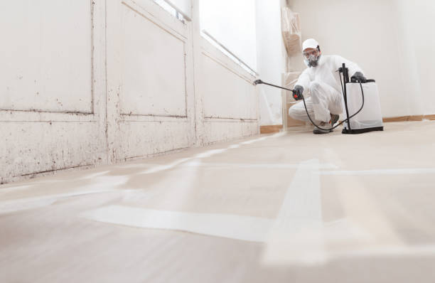 24/7 Emergency Attic Mold Removal experts in Chester, PA